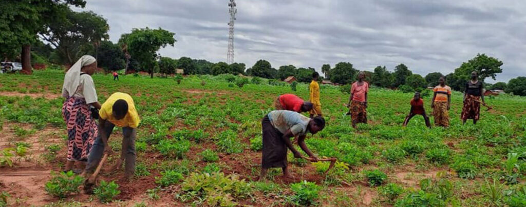 <span>Ordensschwestern</span>