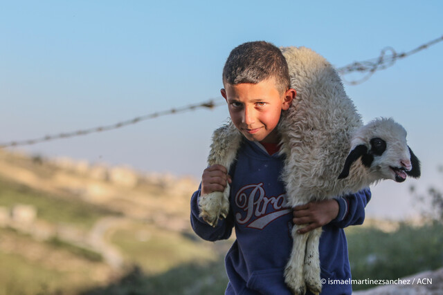 Junger Hirte im Heiligen Land
